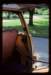 plymouth09_small.jpg